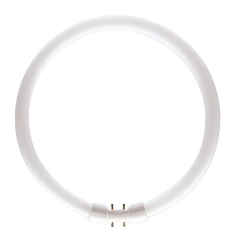 Slika FLUO SIJALICE MASTER TL5 55W/840 2GX13 CIRCULAR PHILIPS