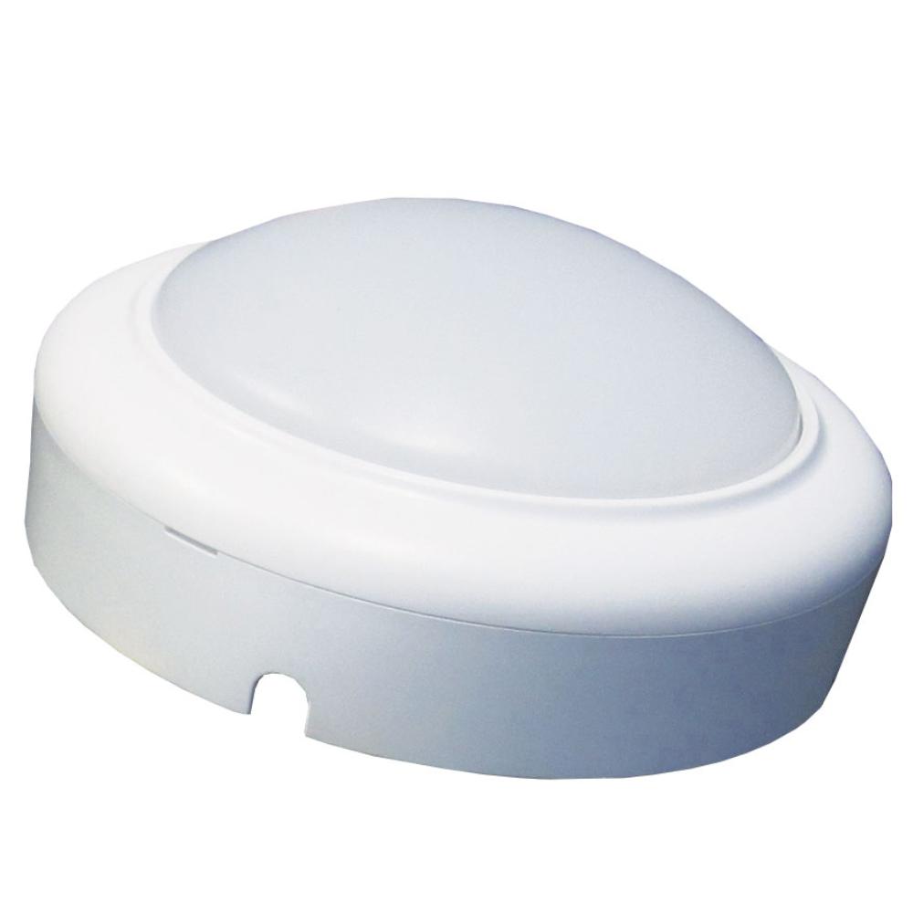 Slika ELIT ELL080 LED BROD.LAMPA 8W