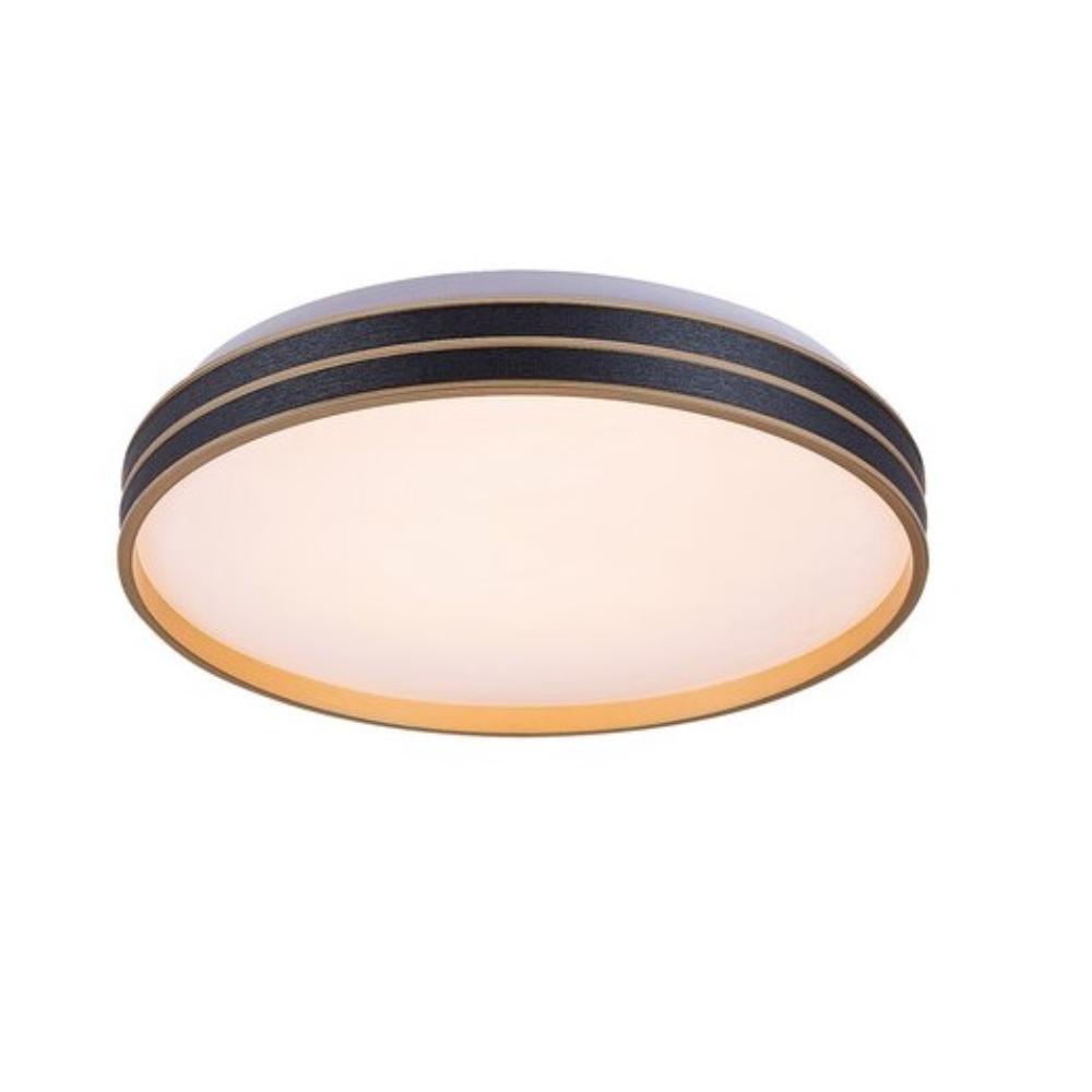 Slika GANDOR PLAFONJERA LED24W D39CM